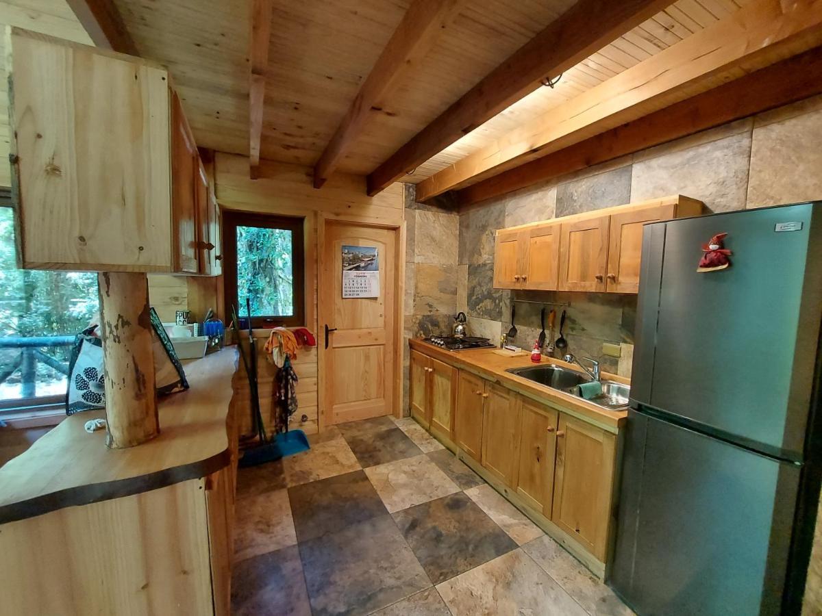 Chalet Vivir El Bosque Huilo Huilo Villa Екстериор снимка