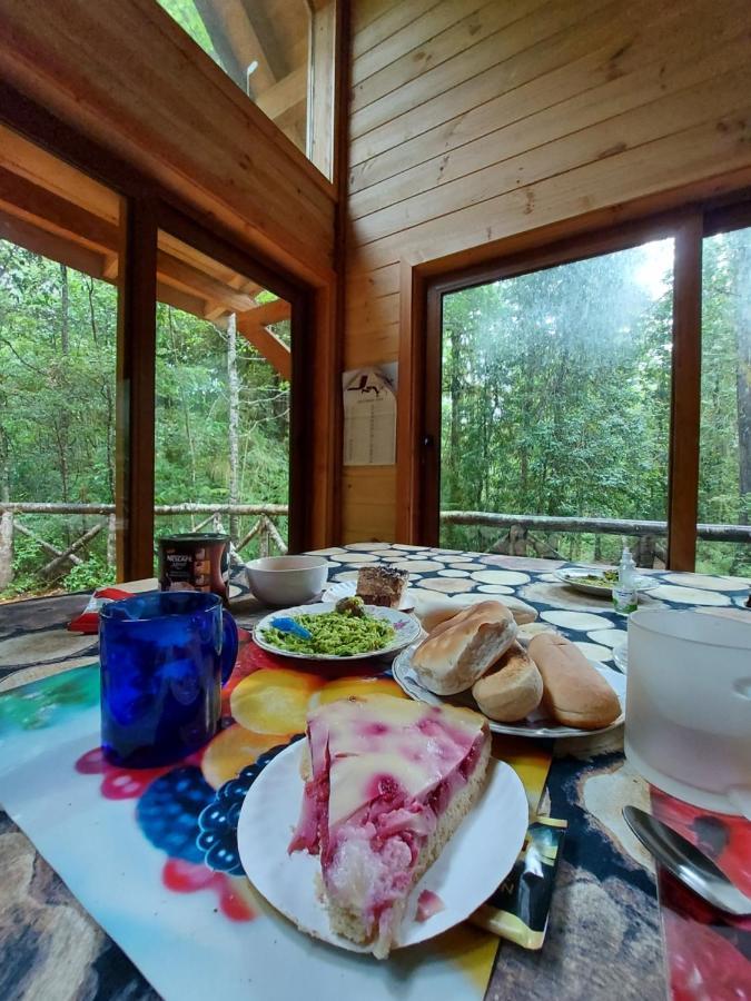 Chalet Vivir El Bosque Huilo Huilo Villa Екстериор снимка