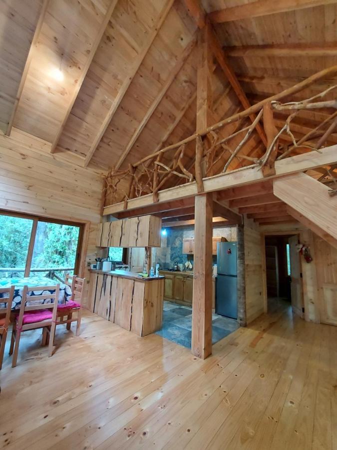 Chalet Vivir El Bosque Huilo Huilo Villa Екстериор снимка