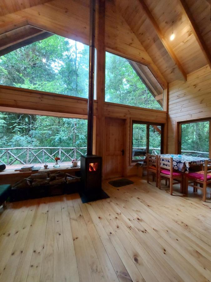 Chalet Vivir El Bosque Huilo Huilo Villa Екстериор снимка