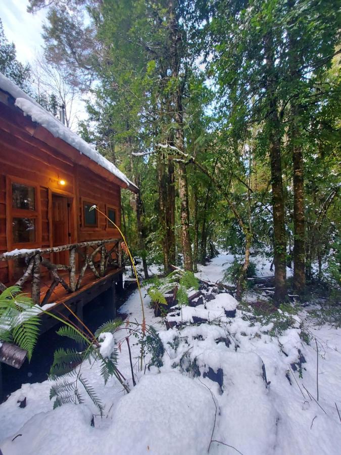 Chalet Vivir El Bosque Huilo Huilo Villa Екстериор снимка