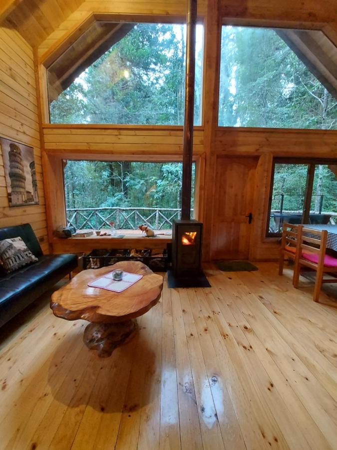 Chalet Vivir El Bosque Huilo Huilo Villa Екстериор снимка